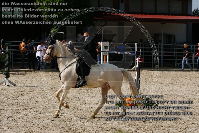 s_DSC05080.JPG